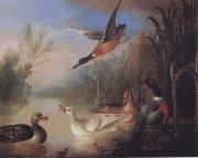 Waterfowl in a Landscape Marmaduke Cradock